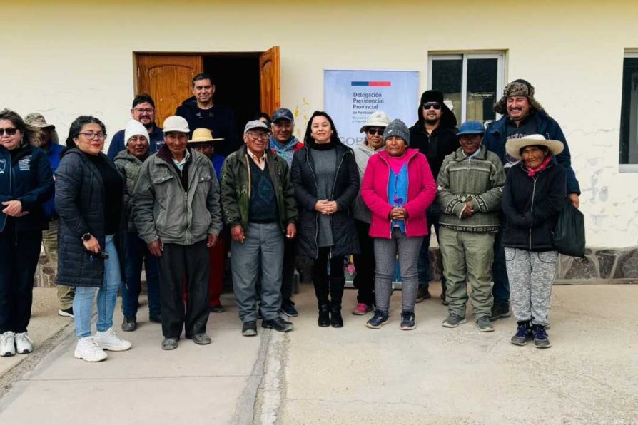 Delegada Presidencial de Parinacota encabeza operativo GET en Caquena