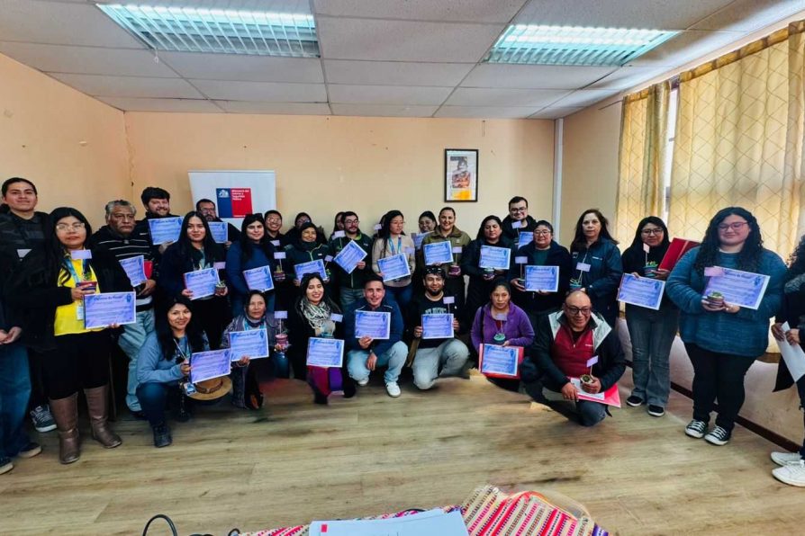 DPP Parinacota capacita a 43 funcionarios públicos sobre Ley de Violencia de Género en Putre