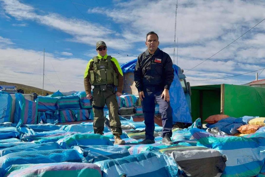 MÁS DE $106 MILLONES DE PESOS EN MERCANCÍA DE CONTRABANDO SON INCAUTADOS EN CONTROL FRONTERIZO EN VISVIRI